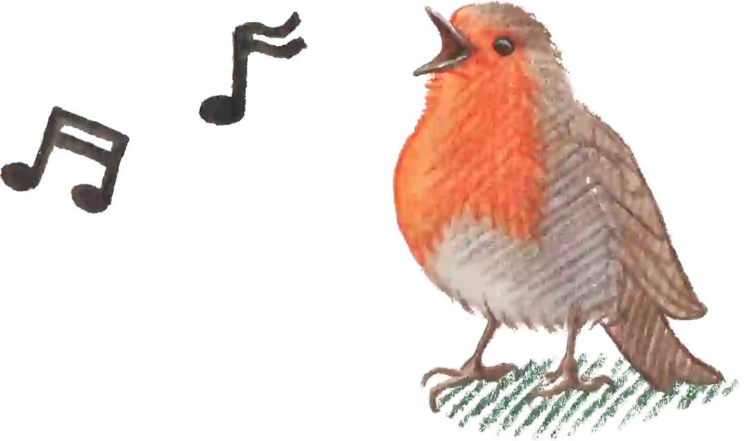 rotkehlchen_musik